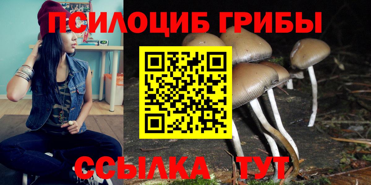 Шахты  Галлюциногенные грибы Cubensis  Вход с VPN 